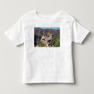 View of the Abbey of St. Martin du Canigou Toddler T-Shirt