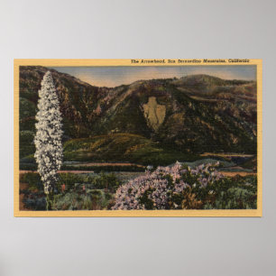 View of the Arrowhead - San Bernardino Mts., CA Poster