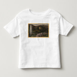 View of the Arrowhead - San Bernardino Mts., CA Toddler T-Shirt