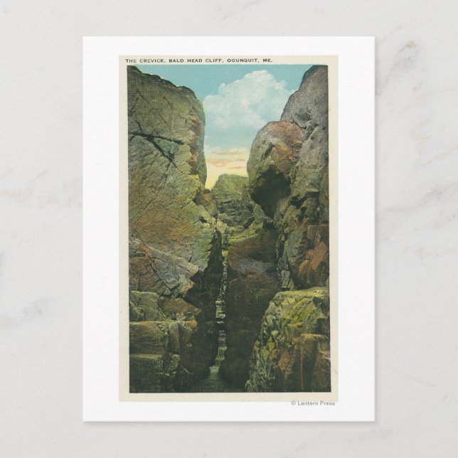View of the Bald Head Cliff Crevice Postcard (Front)