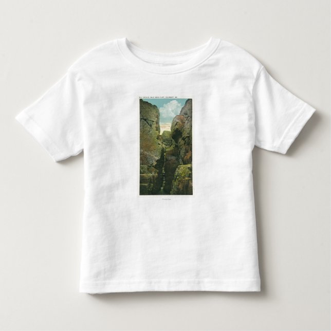 View of the Bald Head Cliff Crevice Toddler T-Shirt (Front)
