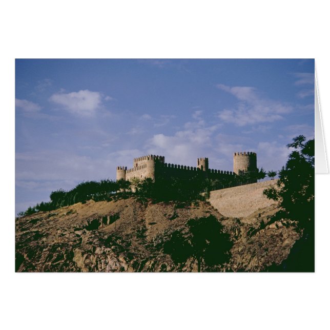 View of the castle (Front Horizontal)