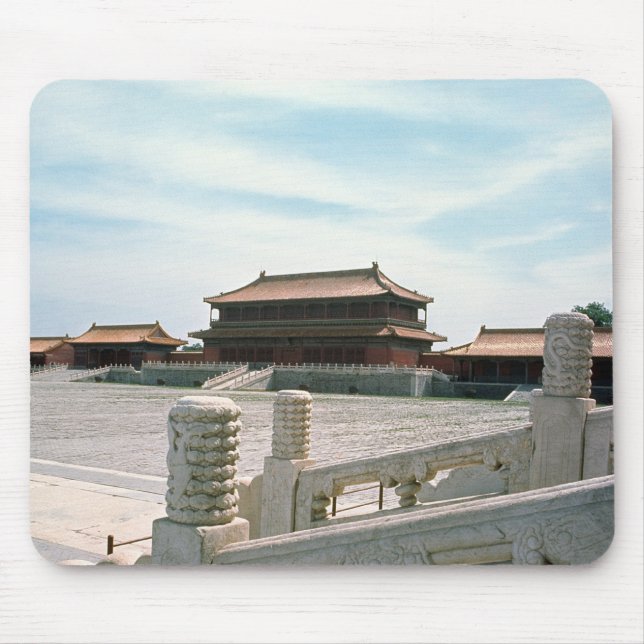 View of the central ramp mouse pad (Front)