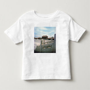 View of the central ramp toddler T-Shirt