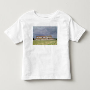 View of the Cistercian Abbey, built 1140-60 Toddler T-Shirt