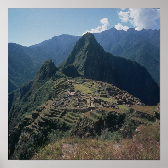 View of the citadel at Machu Picchu Poster (Front)