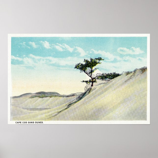 View of the Dorothy Bradford Steamer Poster (Front)