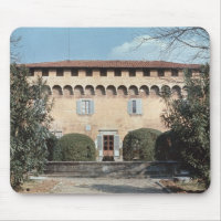 View of the facade, designed for Cosimo