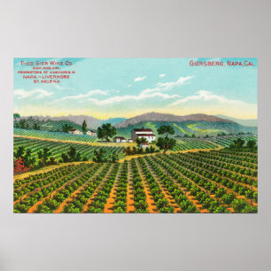 View of the Giersberg VineyardNapa, CA Poster