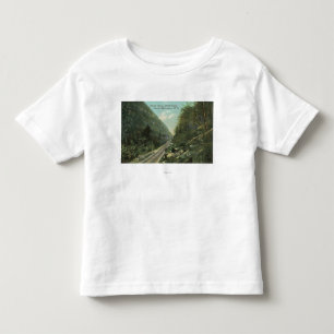 View of the Grand Canyon and Stoney Clove Toddler T-Shirt