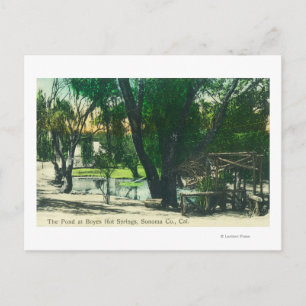 View of the Hot Springs Pond Postcard