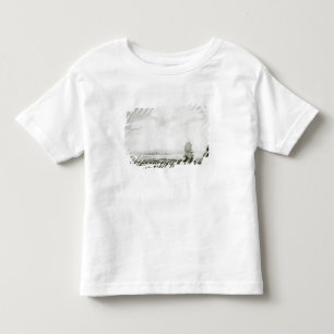View of the Island of Tappanooly Toddler T-Shirt