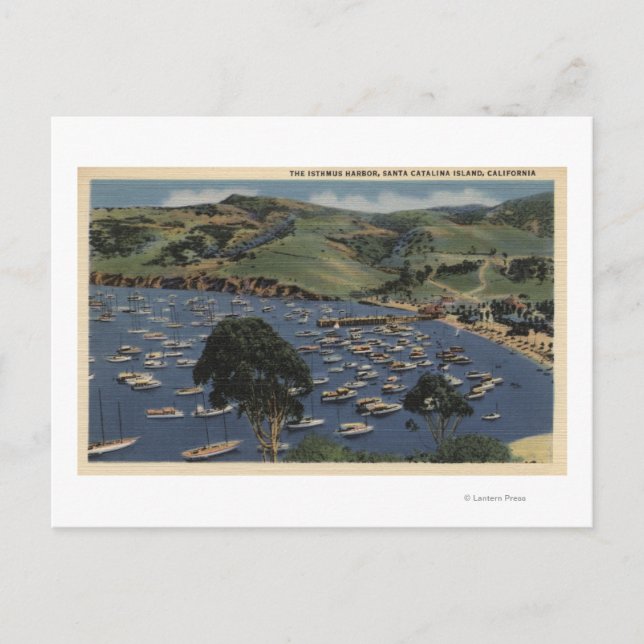 View of the Isthmus Harbour Postcard (Front)