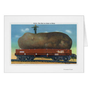 View of the Kind of Potatoes Raised in Maine