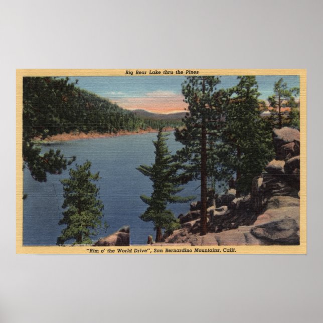 View of the Lake through the Pines Poster (Front)