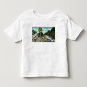 View of the Lower Falls of the Ammonoosuc River Toddler T-Shirt