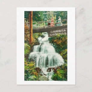 View of the Lower FallsShasta Springs, CA Postcard