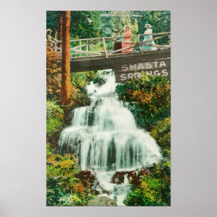 View of the Lower FallsShasta Springs, CA Poster