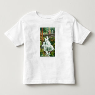 View of the Lower FallsShasta Springs, CA Toddler T-Shirt
