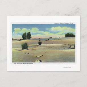 View of the Maine Desert Postcard