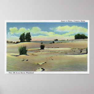 View of the Maine Desert Poster