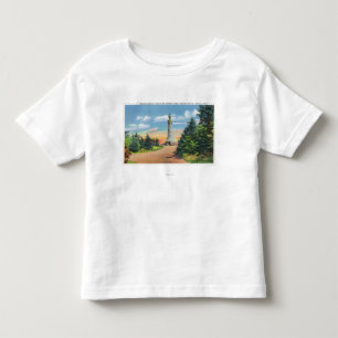 View of the Memorial Beacon Toddler T-Shirt