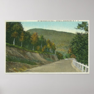 View of the Mohican Trail Poster