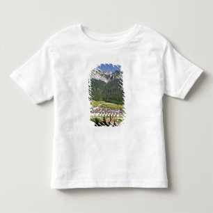 View of the monastery complex toddler T-Shirt