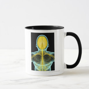 View of the nerves in the upper body from above mug