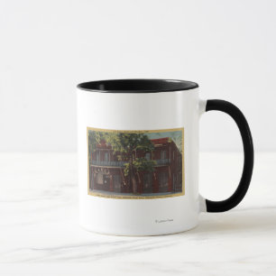 View of the Old Fallon Hotel & Theatre (1860) Mug