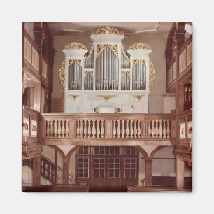 View of the Organ Magnet