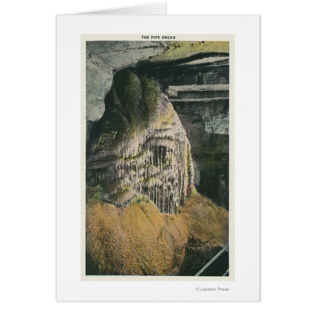 View of the Pipe Organ (Front)