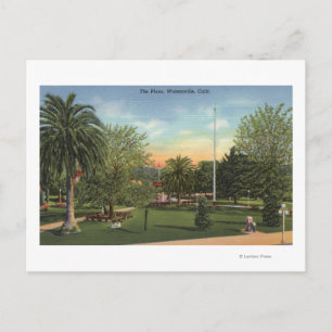 View of the Plaza Postcard