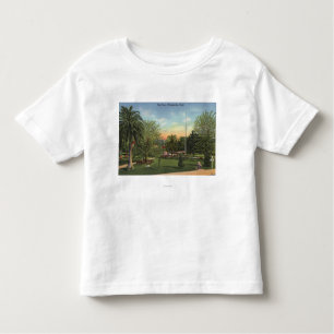View of the Plaza Toddler T-Shirt
