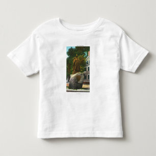 View of the Roger Conant Statue Toddler T-Shirt