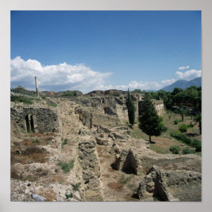View of the ruined city poster