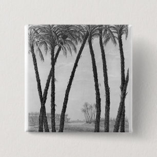 View of the ruins Memphis seen from south east 15 Cm Square Badge