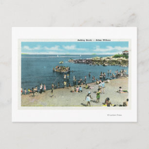 View of the Salem Willows Beach Postcard