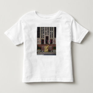 View of the Sunken Plaza Toddler T-Shirt