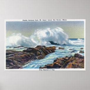 View of the Surf Poster