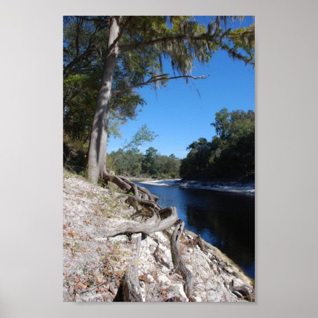View of the Suwannee River Poster (Front)