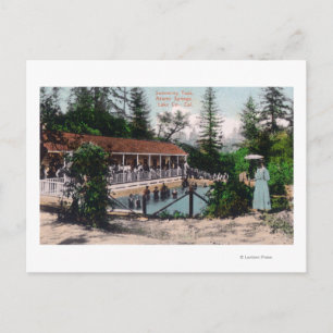 View of the Swimming PoolAdams Springs, CA Postcard