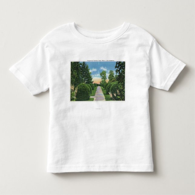View of the Tanglewood Gardens # 2 Toddler T-Shirt (Front)