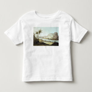 View of the Temples Toddler T-Shirt