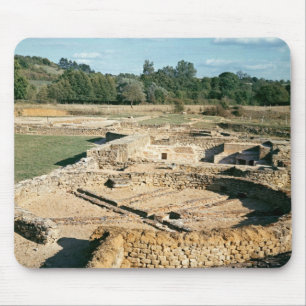 View of the thermal baths mouse pad