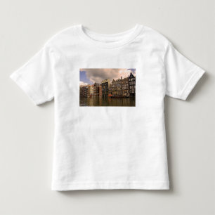 View of the unique architecture and gabled toddler T-Shirt