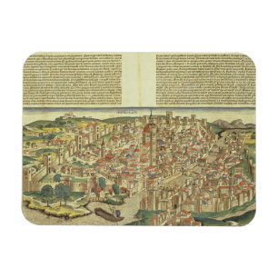 View of the walled city of Florence, from the Nure Magnet
