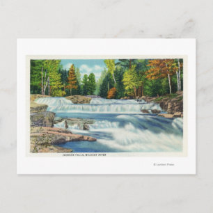 View of the Wild Cat River and Jackson Falls Postcard