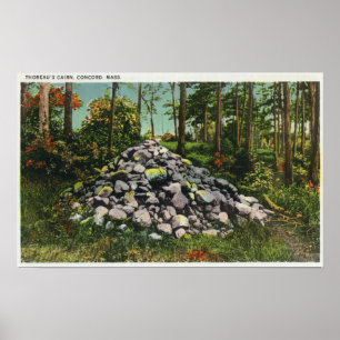View of Thoreau's Cairn Poster