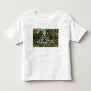 View of Thoreau's Cairn Toddler T-Shirt